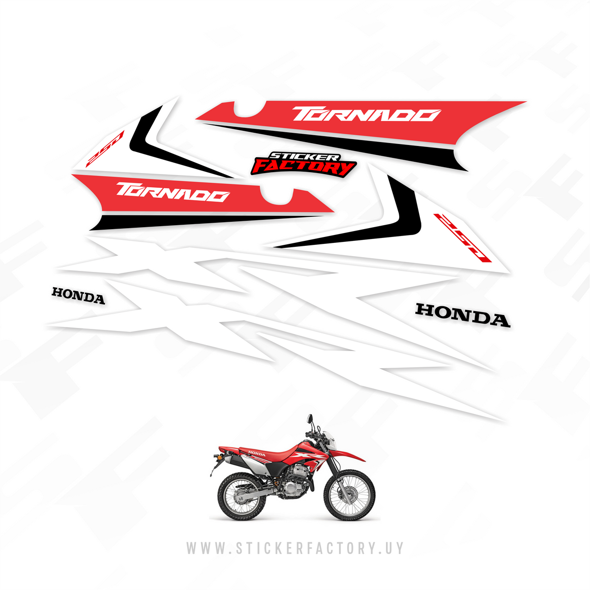 HONDA - XR 250 TORNADO (2019)